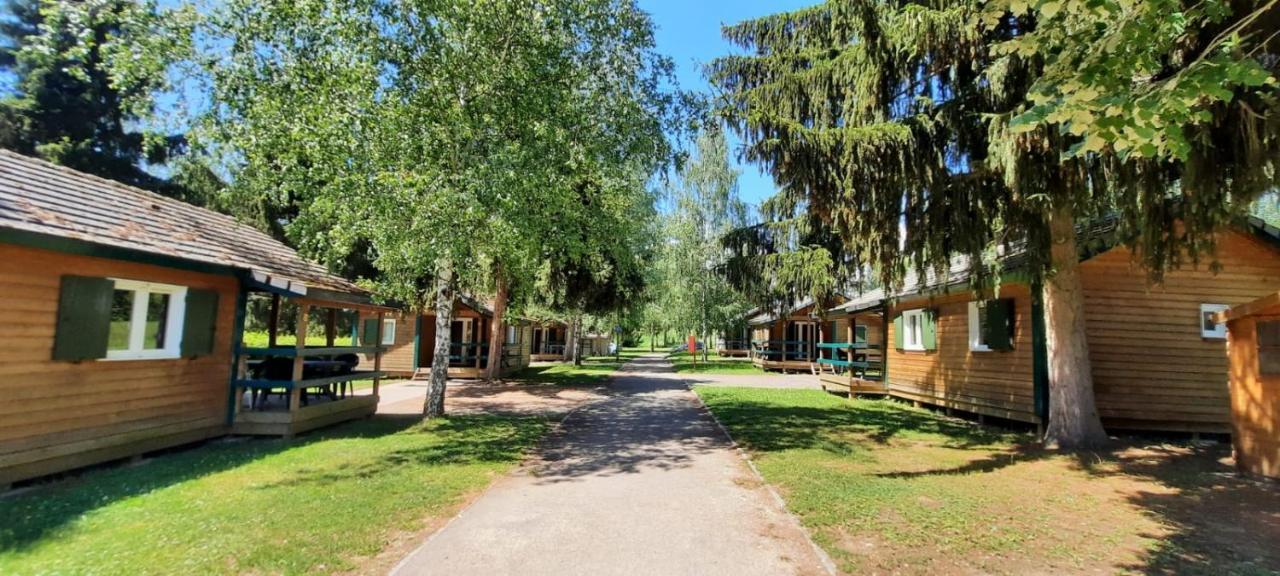 Onlycamp De